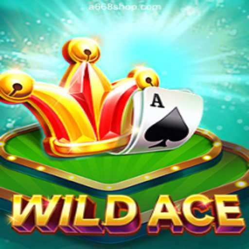Exploring WildAce: The Premier Choice for Casino Enthusiasts